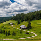 Stilles Muchenland, alte Schwarzwaldhfe zwischen St. Blasien und Schluchsee