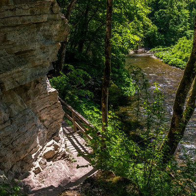 Muschelkalkfelsen in der Wutachschlucht � Klaus Hansen