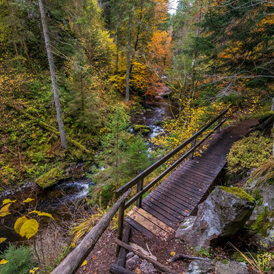 Br�cke in der Wutachschlucht � Klaus Hansen