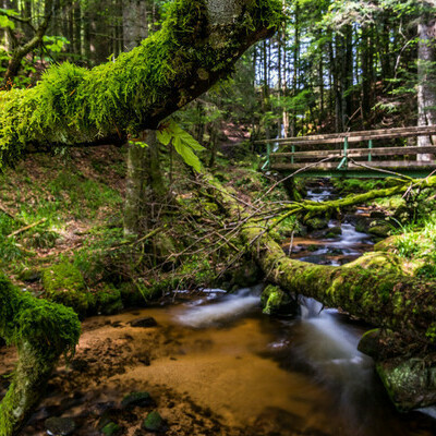 In der Windbergschlucht, Klaus Hansen