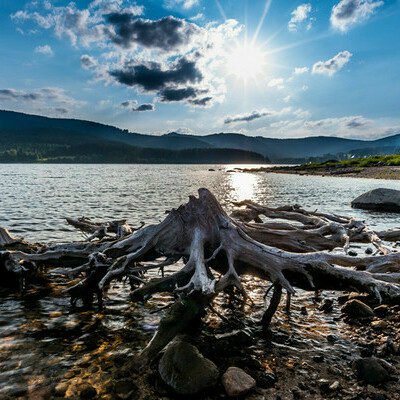 Am Schluchsee, Klaus Hansen