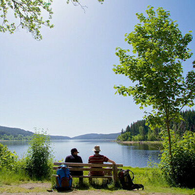 Am Schluchsee, C. Shngen