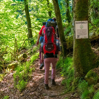 Wandern im Bannwald, Klaus Hansen