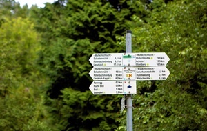 Der Weg ist frei Der Weg ist frei