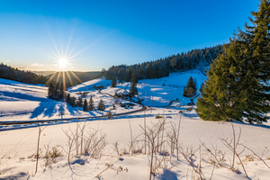 Winter am Steig Winter am Steig