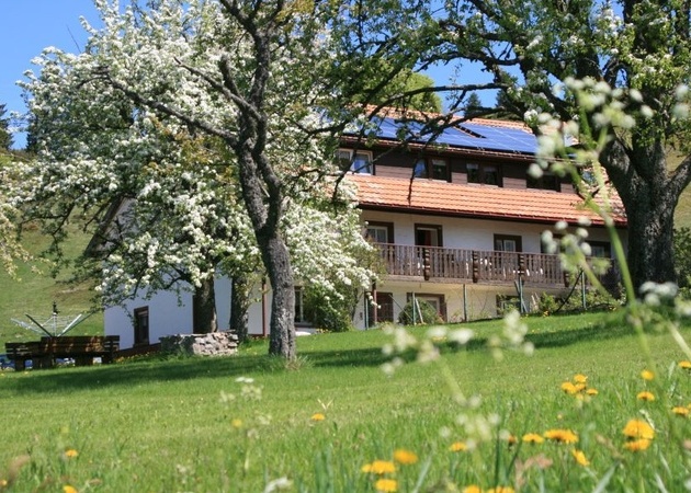 Haus Dorfschmiede Blick vom Garten